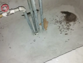 三台卫生间测漏水价格明细
